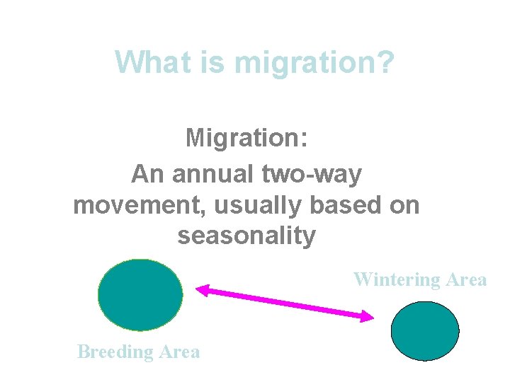 What is migration? Migration: An annual two-way movement, usually based on seasonality Wintering Area