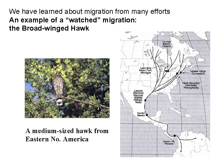 We have learned about migration from many efforts An example of a “watched” migration: