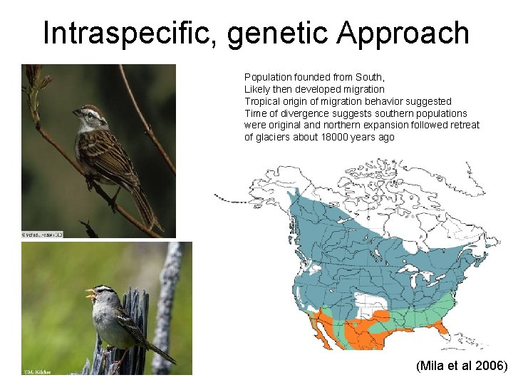 Intraspecific, genetic Approach Population founded from South, Likely then developed migration Tropical origin of