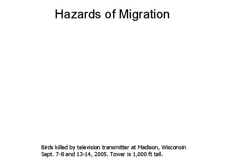 Hazards of Migration Birds killed by television transmitter at Madison, Wisconsin Sept. 7 -8