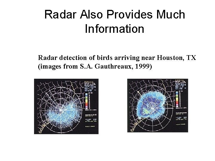 Radar Also Provides Much Information Use of radar Radar detection of birds arriving near