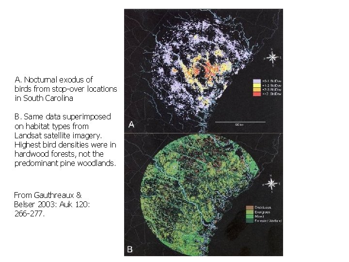 A. Nocturnal exodus of birds from stop-over locations in South Carolina B. Same data