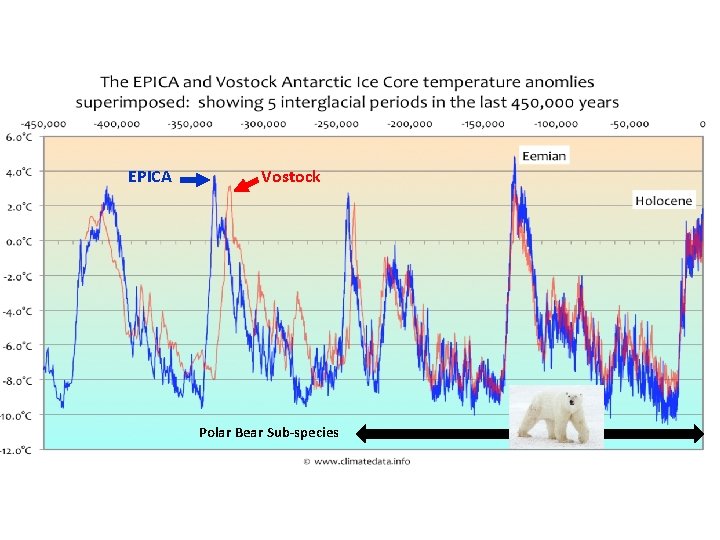 EPICA Vostock Polar Bear Sub-species 