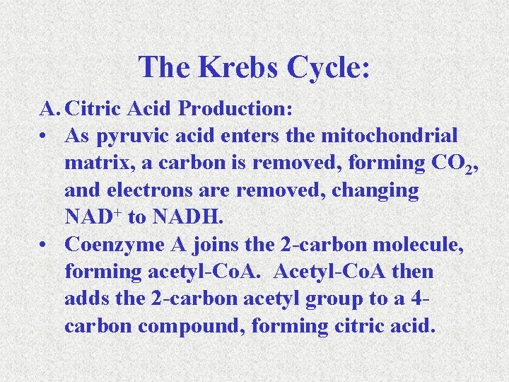 The Krebs Cycle: A. Citric Acid Production: • As pyruvic acid enters the mitochondrial