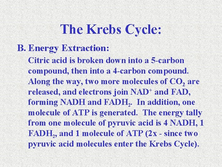 The Krebs Cycle: B. Energy Extraction: Citric acid is broken down into a 5