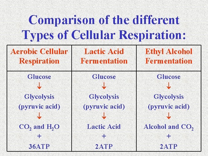 Comparison of the different Types of Cellular Respiration: Aerobic Cellular Respiration Lactic Acid Fermentation