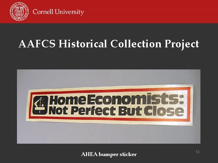 AAFCS Historical Collection Project AHEA bumper sticker 12 