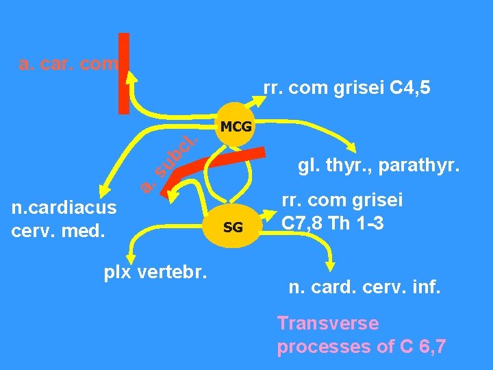 a. car. com. rr. com grisei C 4, 5 cl. MCG a. su b