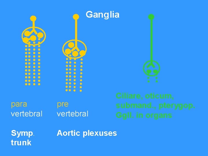 Ganglia Ciliare, oticum, submand. , pterygop. Ggll. in organs para vertebral pre vertebral Symp.
