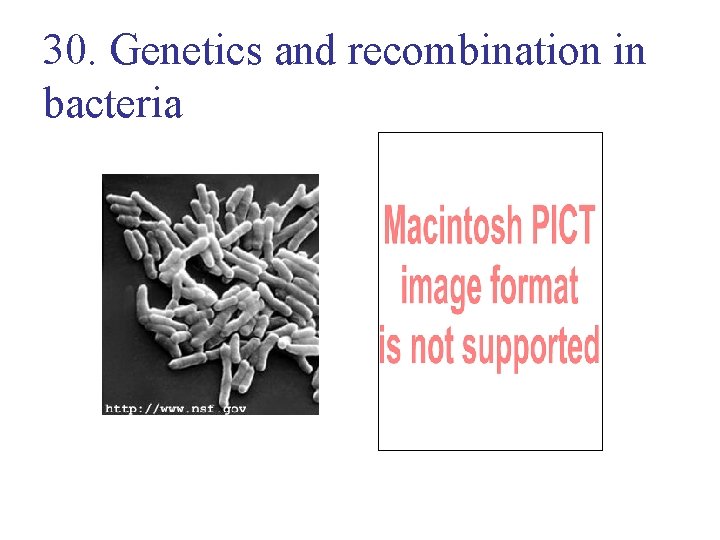30. Genetics and recombination in bacteria 