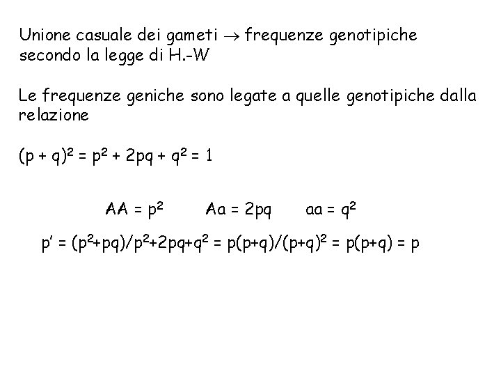 Unione casuale dei gameti frequenze genotipiche secondo la legge di H. -W Le frequenze