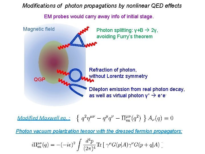 Modifications of photon propagations by nonlinear QED effects EM probes would carry away info