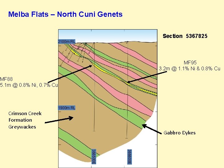 Melba Flats – North Cuni Genets Section 5367825 2100 m RL MF 95 3.