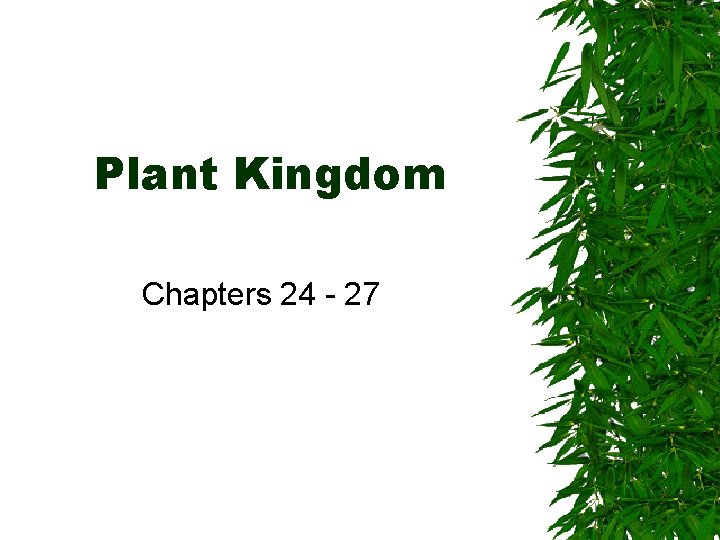 Plant Kingdom Chapters 24 - 27 