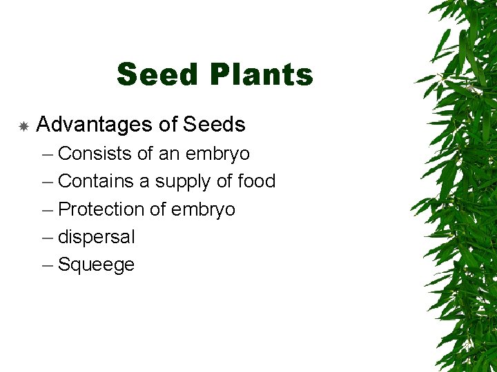 Seed Plants Advantages of Seeds – Consists of an embryo – Contains a supply