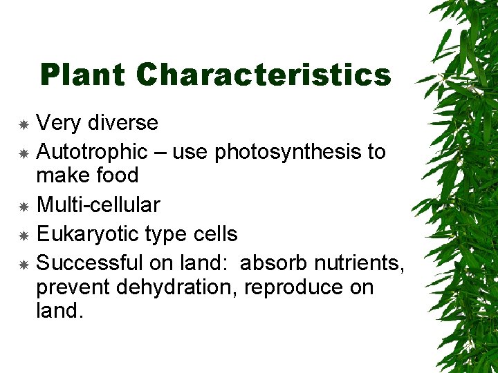 Plant Characteristics Very diverse Autotrophic – use photosynthesis to make food Multi-cellular Eukaryotic type