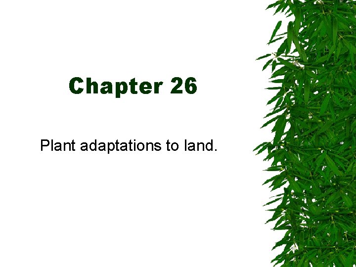Chapter 26 Plant adaptations to land. 