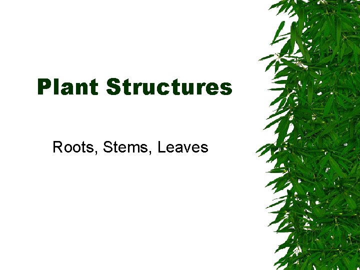 Plant Structures Roots, Stems, Leaves 