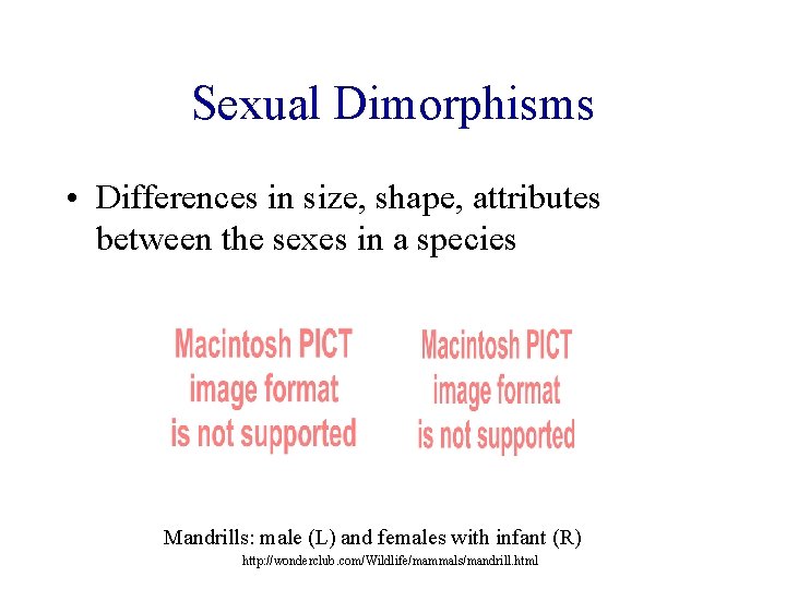 Sexual Dimorphisms • Differences in size, shape, attributes between the sexes in a species Sexual Dimorphisms • Differences in size, shape, attributes between the sexes in a species