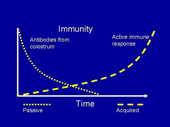 Immunity Antibodies from colostrum Passive Time Active immune response Acquired 
