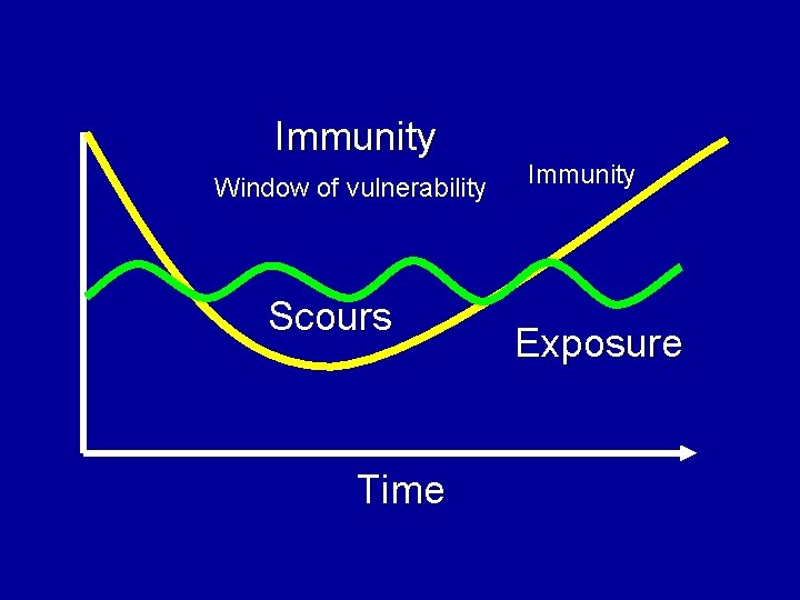 Immunity Window of vulnerability Scours Time Immunity Exposure 