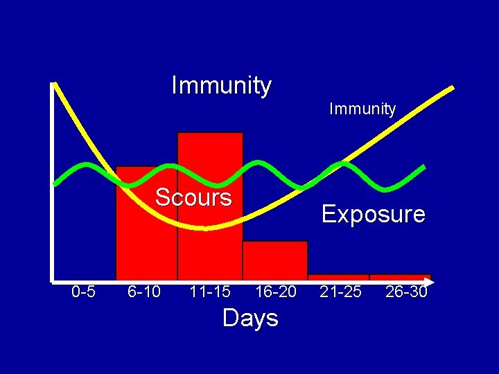 Immunity Scours 0 -5 6 -10 11 -15 Immunity Exposure 16 -20 Days 21