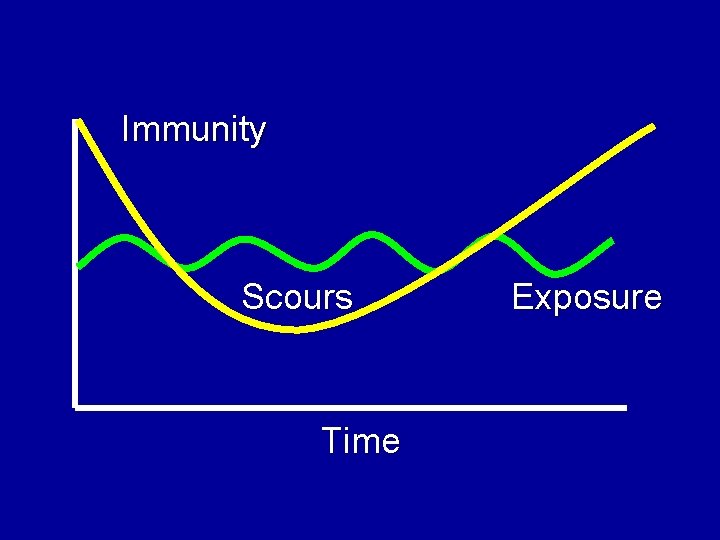 Immunity Scours Time Exposure 