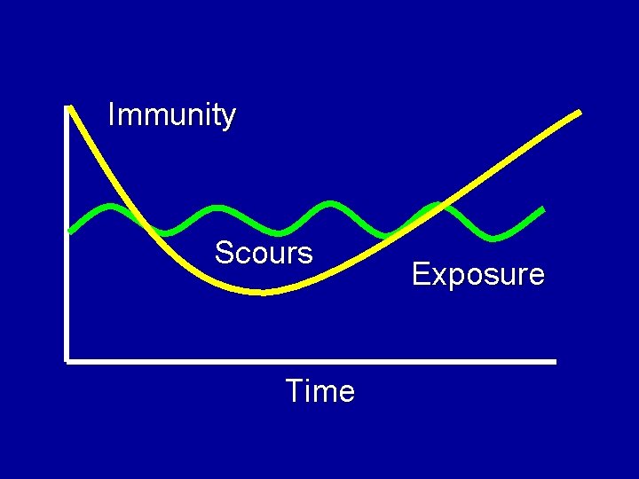 Immunity Scours Time Exposure 