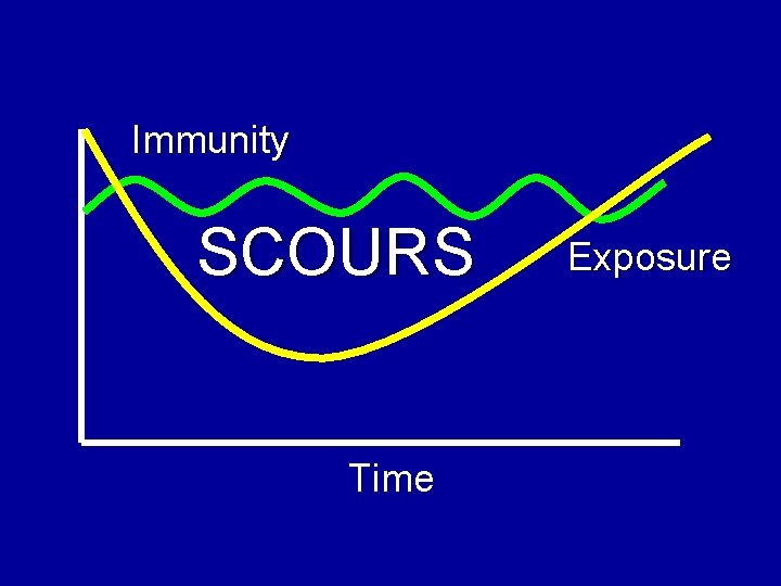 Immunity SCOURS Time Exposure 