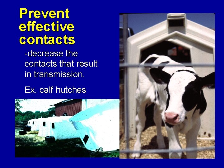Prevent effective contacts -decrease the contacts that result in transmission. Ex. calf hutches 