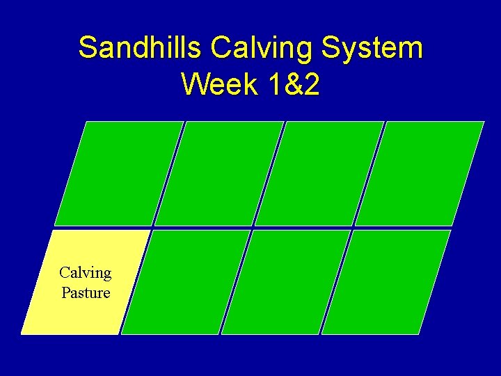 Sandhills Calving System Week 1&2 Calving Pasture 