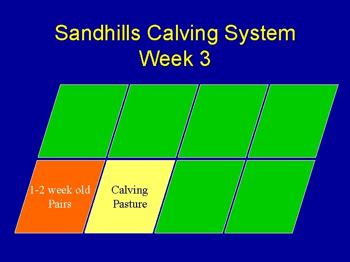 Sandhills Calving System Week 3 1 -2 week old Pairs Calving Pasture 