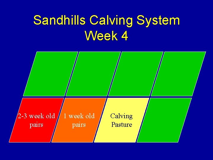 Sandhills Calving System Week 4 2 -3 week old pairs 1 week old pairs