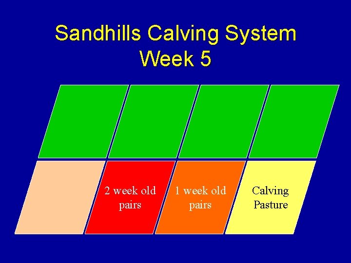 Sandhills Calving System Week 5 2 week old pairs 1 week old pairs Calving