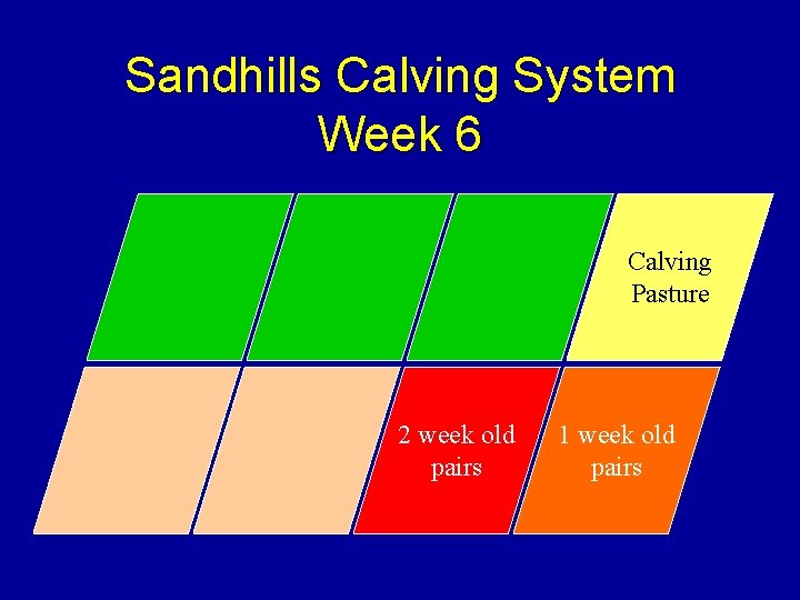 Sandhills Calving System Week 6 Calving Pasture 2 week old pairs 1 week old