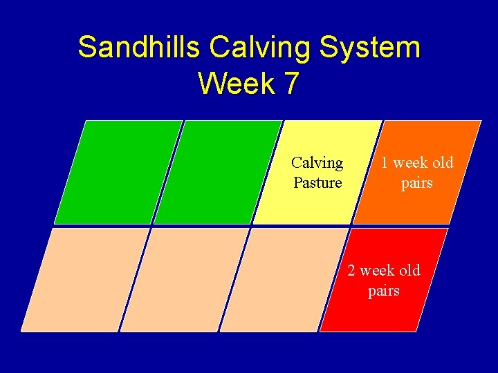 Sandhills Calving System Week 7 Calving Pasture 1 week old pairs 2 week old