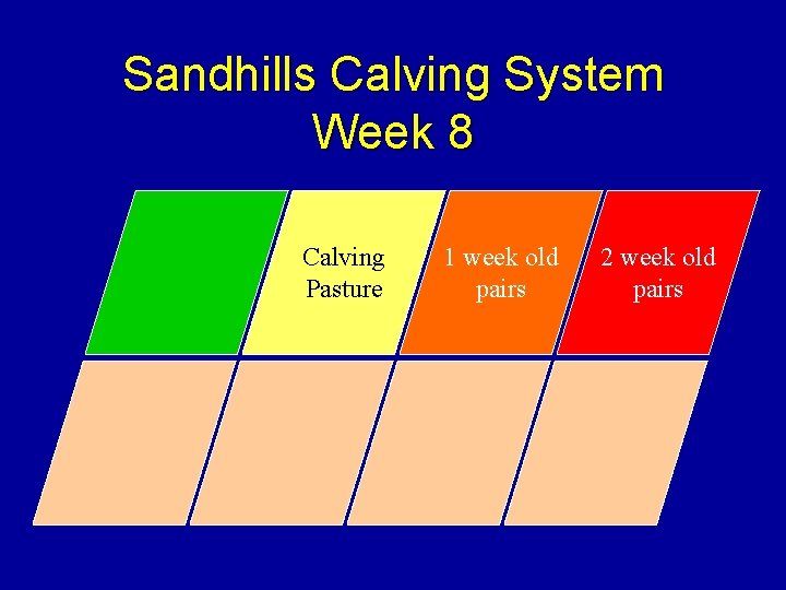 Sandhills Calving System Week 8 Calving Pasture 1 week old pairs 2 week old