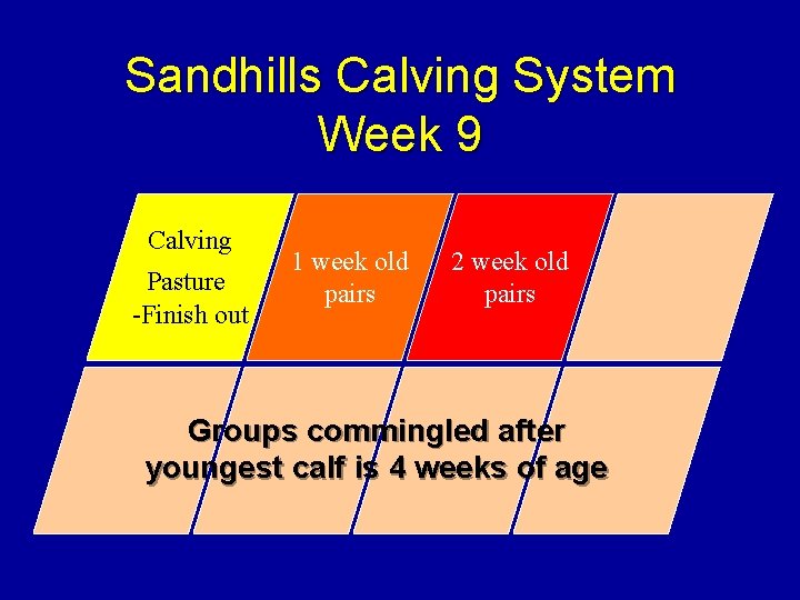 Sandhills Calving System Week 9 Calving Pasture -Finish out 1 week old pairs 2