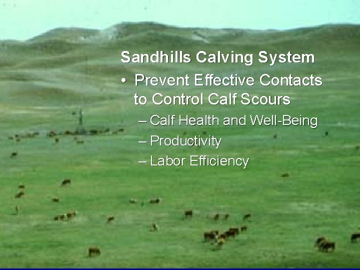 Sandhills Calving System • Prevent Effective Contacts to Control Calf Scours – Calf Health