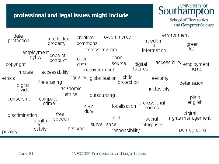 professional and legal issues might include data protection intellectual property employment code of rights