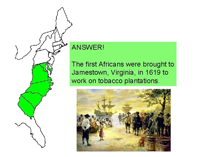 ANSWER! The first Africans were brought to Jamestown, Virginia, in 1619 to work on