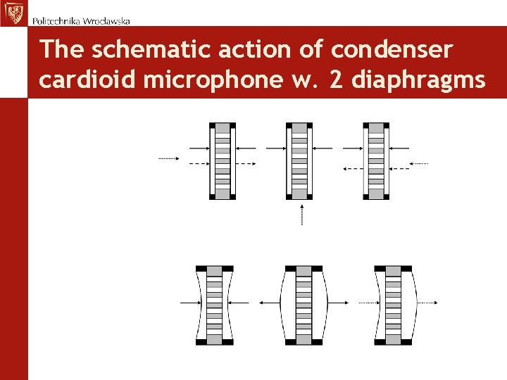 The schematic action of condenser cardioid microphone w. 2 diaphragms 