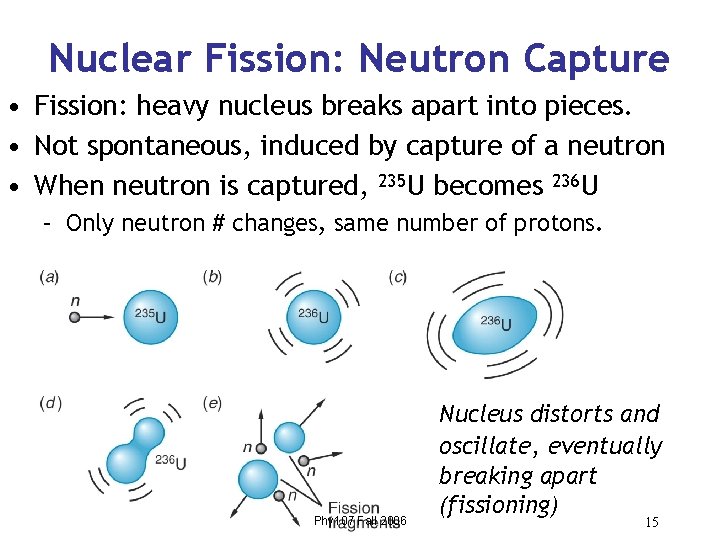 Nuclear Fission: Neutron Capture • Fission: heavy nucleus breaks apart into pieces. • Not