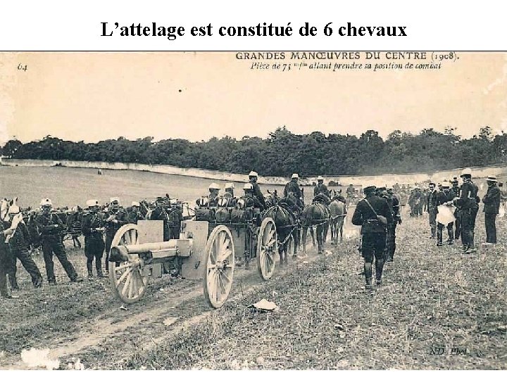 L’attelage est constitué de 6 chevaux 