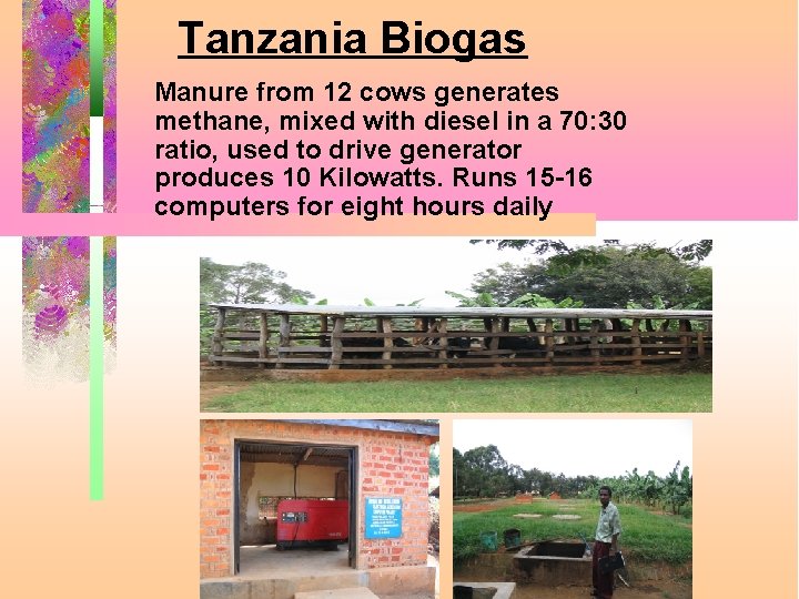 Tanzania Biogas Manure from 12 cows generates methane, mixed with diesel in a 70: