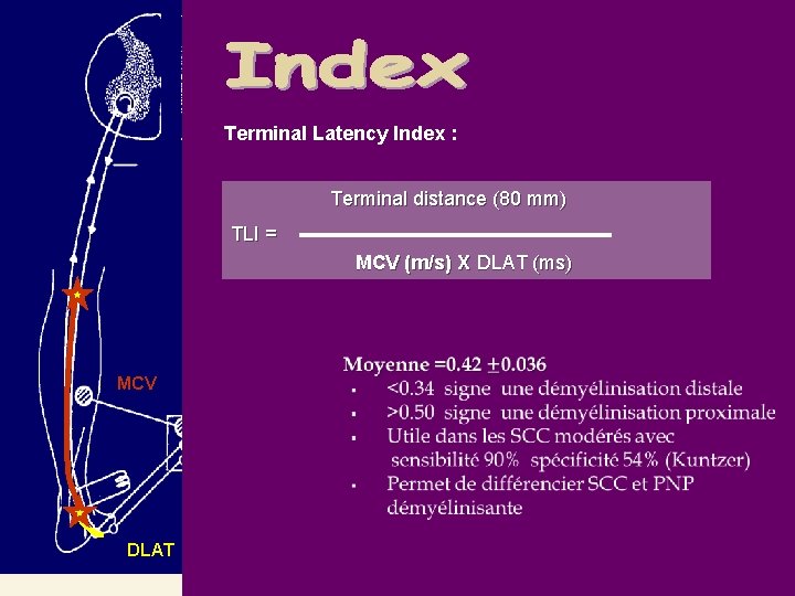 Terminal Latency Index : Terminal distance (80 mm) TLI = MCV (m/s) X DLAT