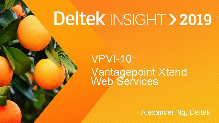 VPVI-10: Vantagepoint Xtend Web Services Alexander Ng, Deltek 