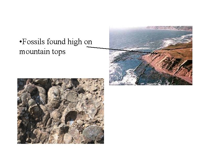 • Fossils found high on mountain tops • Fossils found high on mountain tops