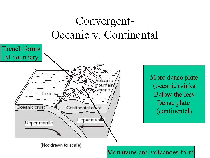 Convergent. Oceanic v. Continental Trench forms At boundary More dense plate (oceanic) sinks Below Convergent. Oceanic v. Continental Trench forms At boundary More dense plate (oceanic) sinks Below