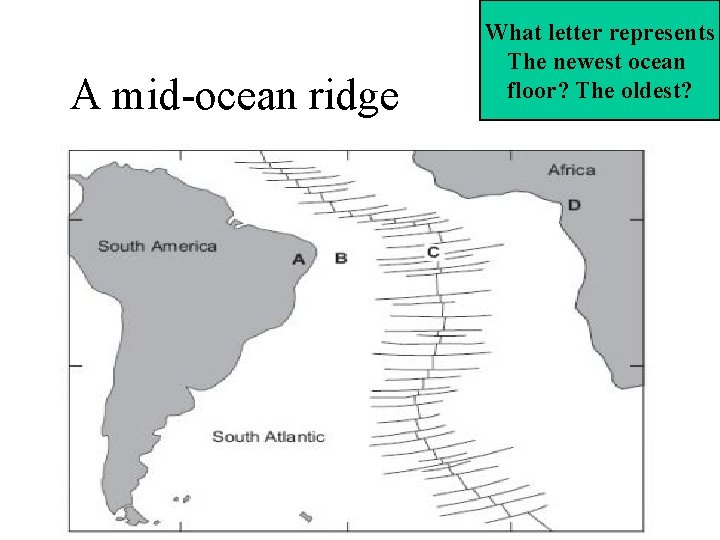 A mid-ocean ridge What letter represents The newest ocean floor? The oldest? A mid-ocean ridge What letter represents The newest ocean floor? The oldest?